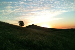 Five-Sisters-Ranch_sunrise2