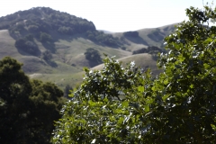 Five-Sisters-Ranch_valley4